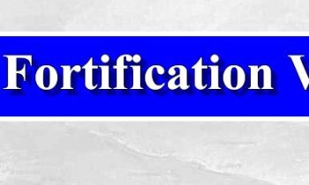 fortification verdun